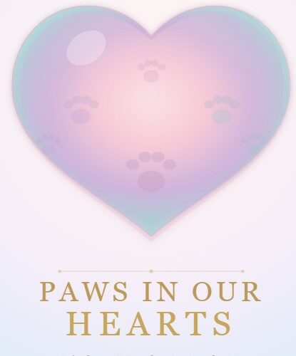 Paws In Our Hearts