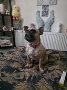 Lulu, 2026 to aug 2026