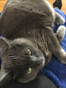 Nina