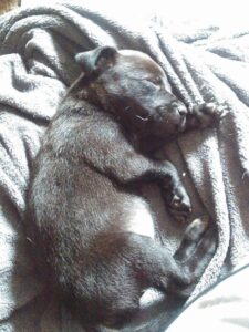 Shadow, jul 2014 to sep 2026