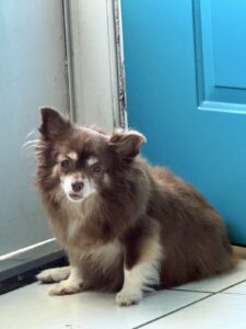 Delilah, 2012 to jun 2026