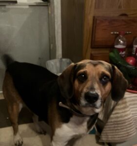 Pete