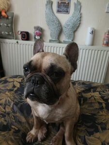 Lulu
