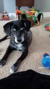 Winnie