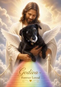 Godiva