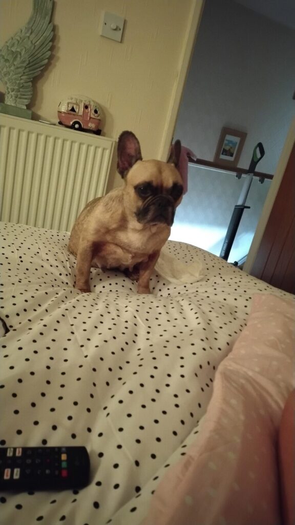 Lulu