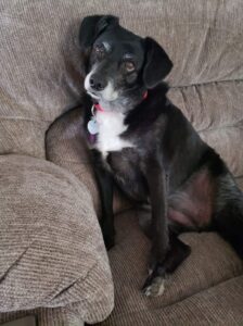 Winnie