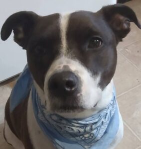 Barney, 2018 to jun 2026