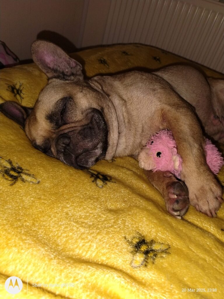 Lulu