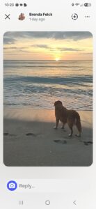 Sophie, 2016 to sep 2026