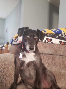 Winnie