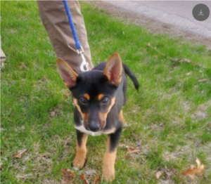Jake, from apr 2024